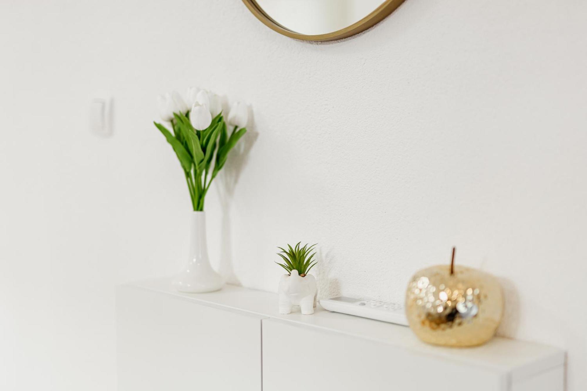 Andrea Lux Apartment Kotor Ngoại thất bức ảnh