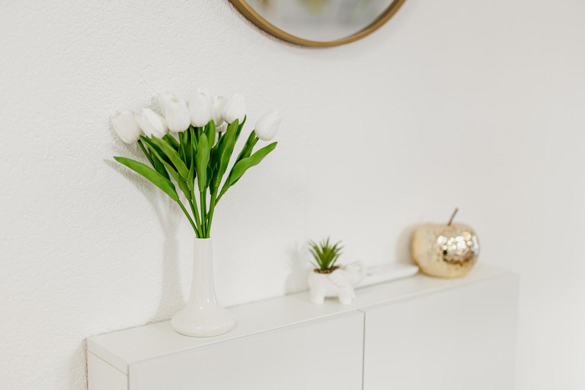 Andrea Lux Apartment Kotor Ngoại thất bức ảnh